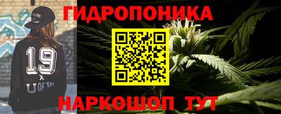 СК Дубна